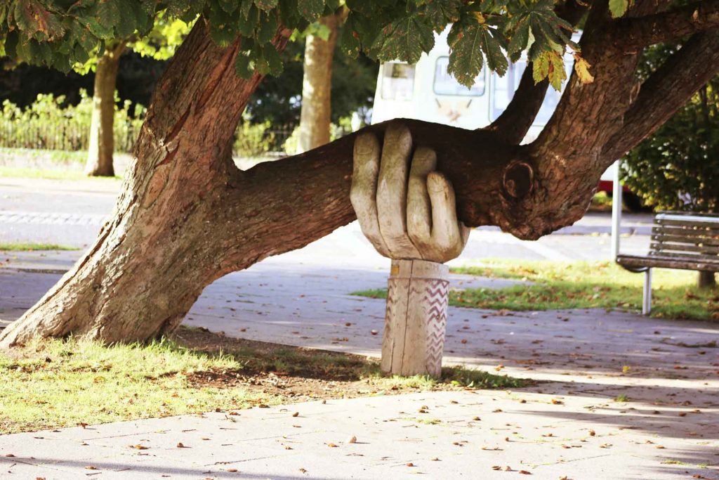 dinamismo energía eléctrica ejemplo árbol